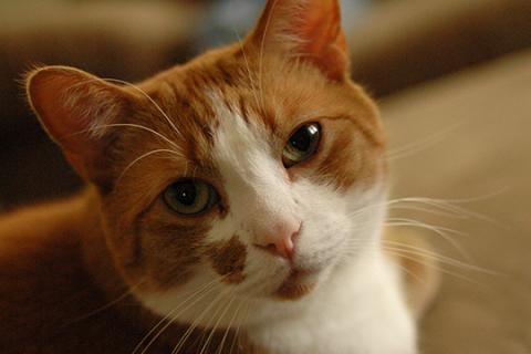 Jackson